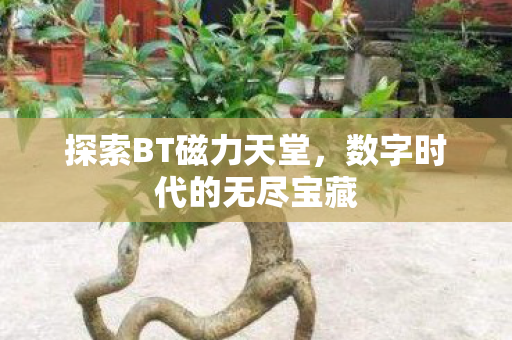 数字时代的无尽宝藏图片