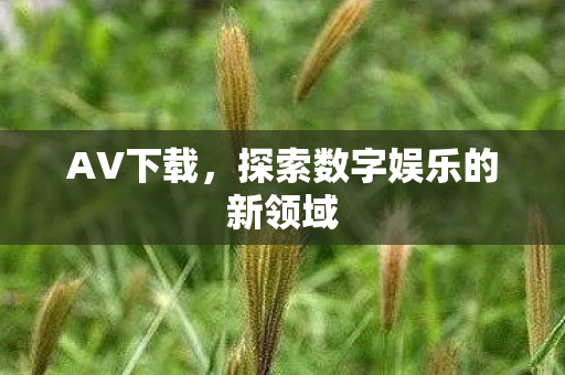 探索数字娱乐的新领域图片