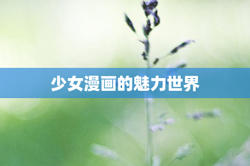 少女漫画的魅力世界图片