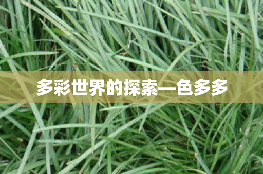 多彩世界的探索图片