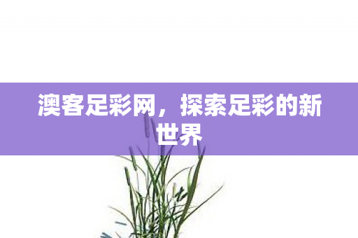 探索足彩的新世界图片