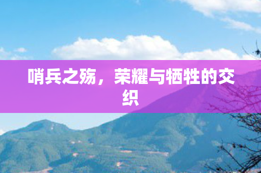 荣耀与牺牲的交织图片
