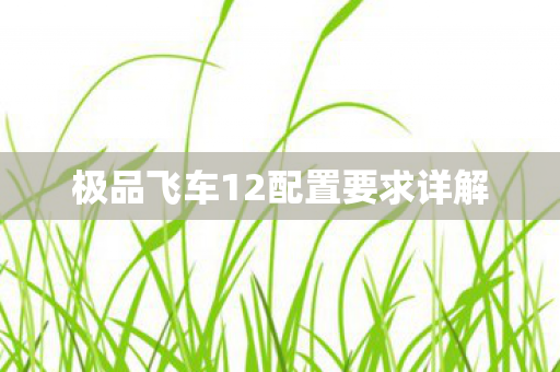 极品飞车12配置要求详解图片