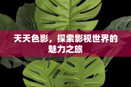 探索影视世界的魅力之旅图片
