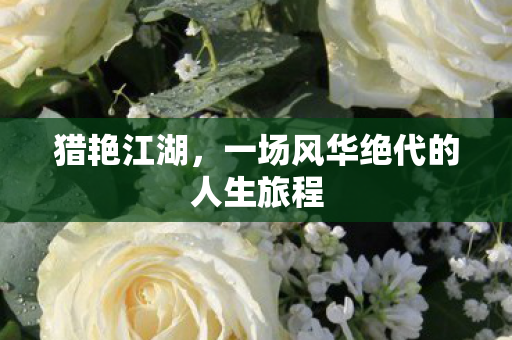 一场风华绝代的人生旅程图片