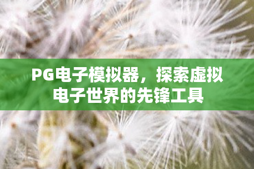 探索虚拟电子世界的先锋工具图片
