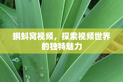 探索视频世界的独特魅力图片