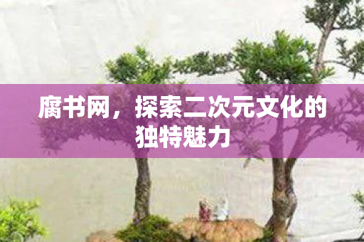探索二次元文化的独特魅力图片