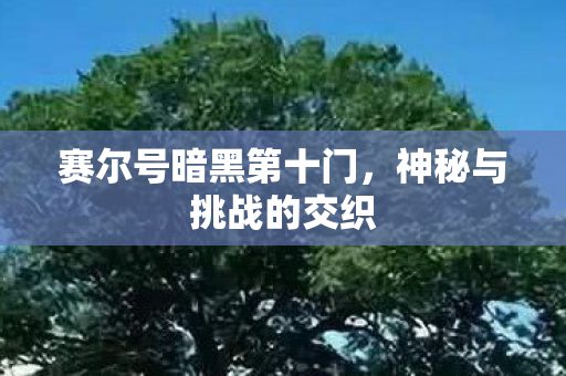 赛尔号暗黑第十门图片