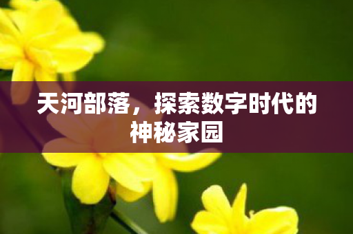 探索数字时代的神秘家园图片