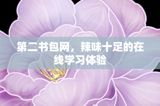 辣味十足的在线学习体验图片