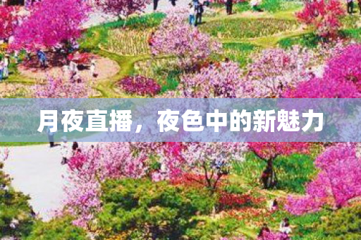 夜色中的新魅力图片
