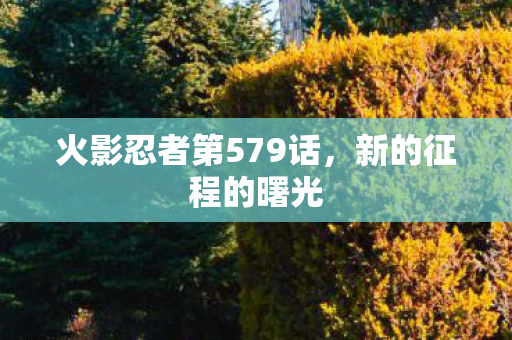 火影忍者第579话图片
