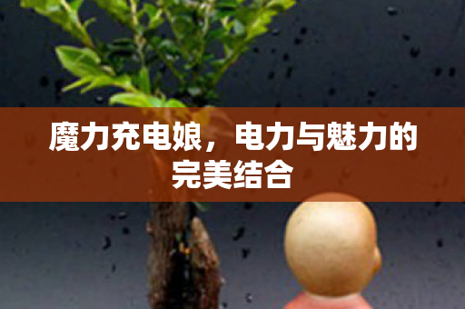 电力与魅力的完美结合图片