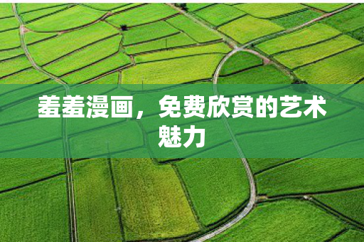 免费欣赏的艺术魅力图片