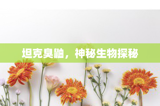 神秘生物探秘图片