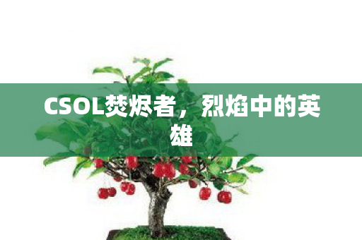 CSOL焚烬者图片