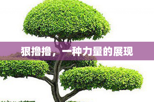 一种力量的展现图片