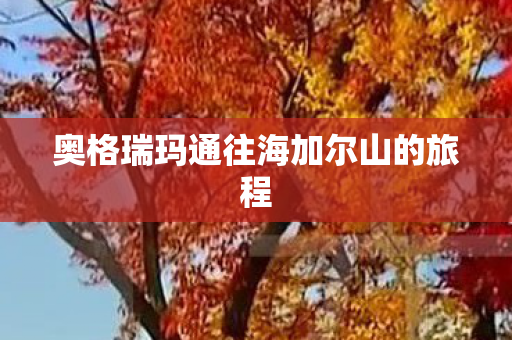 奥格瑞玛通往海加尔山的旅程图片