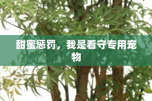 我是看守专用宠物图片