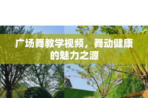 舞动健康的魅力之源图片