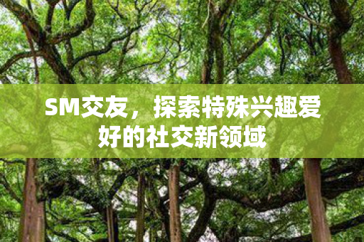 探索特殊兴趣爱好的社交新领域图片