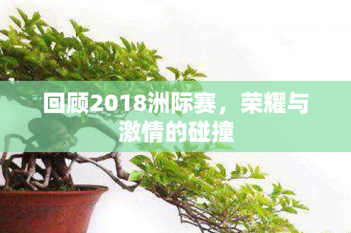 回顾2018洲际赛图片