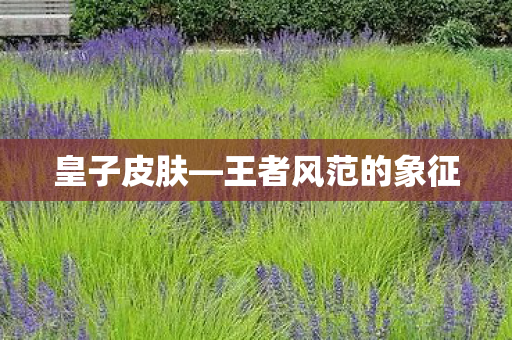 王者风范的象征图片