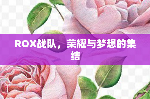 荣耀与梦想的集结图片