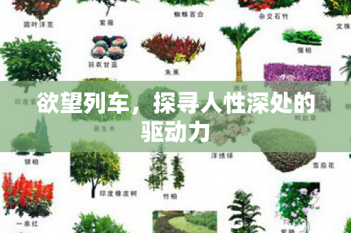 探寻人性深处的驱动力图片