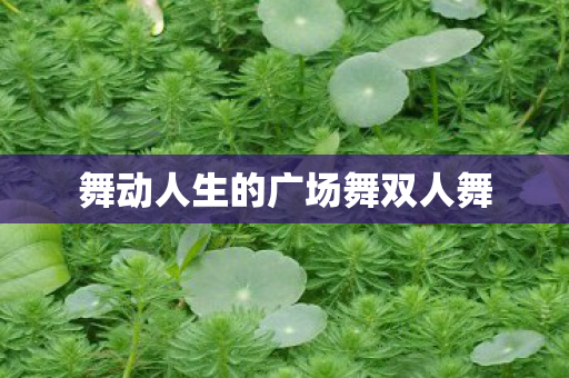 舞动人生的广场舞双人舞图片
