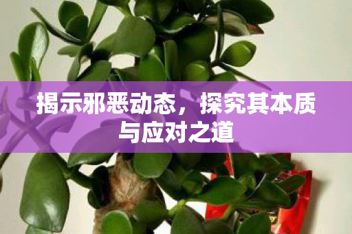 探究其本质与应对之道图片