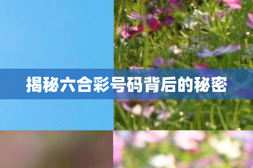 揭秘六合彩号码背后的秘密图片