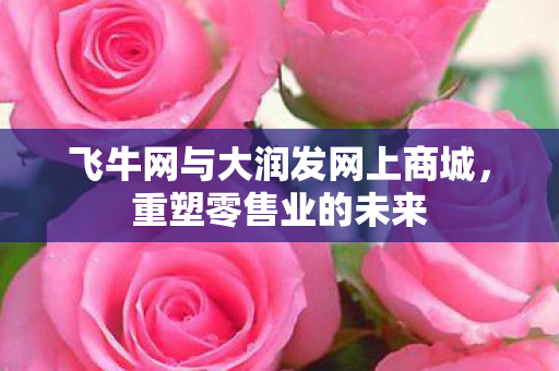 飞牛网与大润发网上商城图片