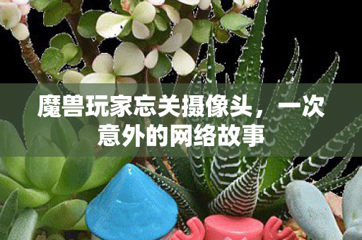魔兽玩家忘关摄像头图片