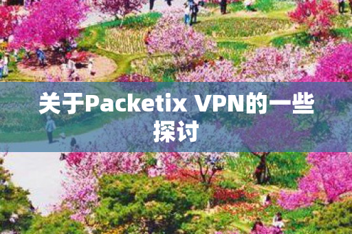 关于Packetix VPN的一些探讨图片