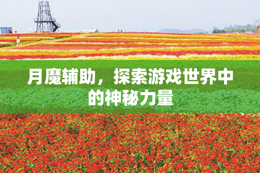 探索游戏世界中的神秘力量图片