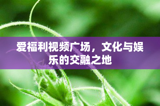 文化与娱乐的交融之地图片