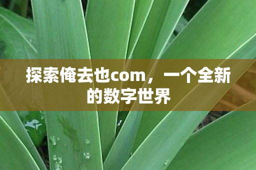 一个全新的数字世界图片