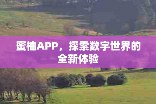 探索数字世界的全新体验图片