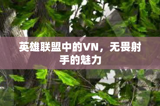 英雄联盟中的VN图片
