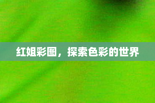 探索色彩的世界图片