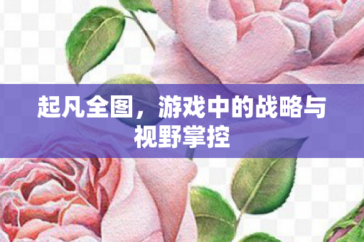 游戏中的战略与视野掌控图片