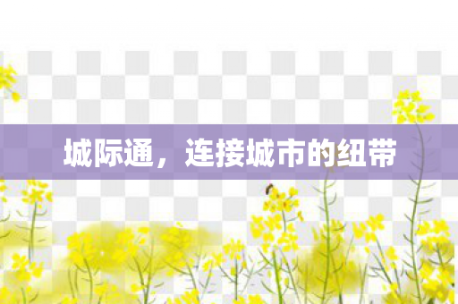 连接城市的纽带图片