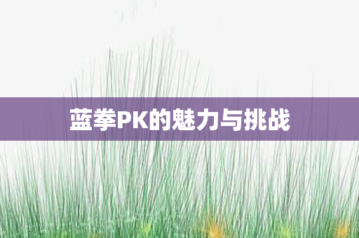 蓝拳PK的魅力与挑战图片