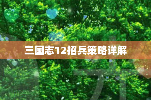 三国志12招兵策略详解图片
