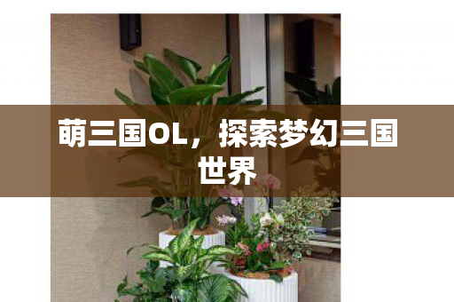 探索梦幻三国世界图片