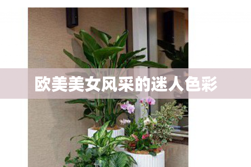 欧美美女风采的迷人色彩图片