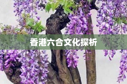 香港六合文化探析图片