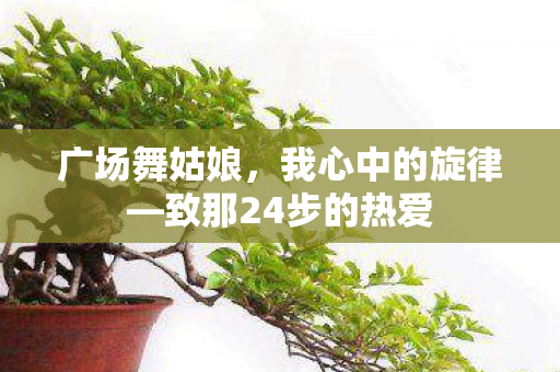 致那24步的热爱图片